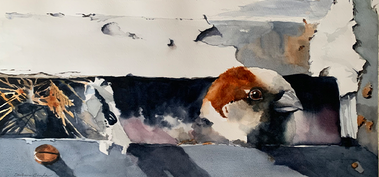 watercolor painting of a bird looking out of a birdhouse by The Benda Twins