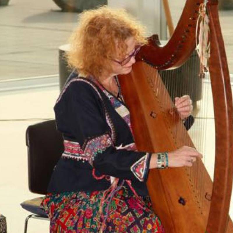 Debi Rogers playing Harp