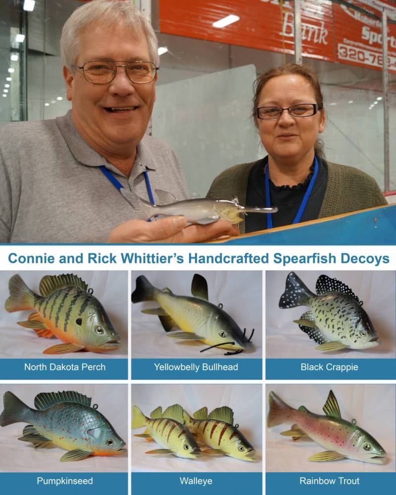 A collage featuring Rick and Connie Whittier at the top, smiling and holding a carved paddlefish spearfish decoy at an indoor ice arena. Below them, six images show their handcrafted spearfish decoys labeled with fish species: North Dakota Perch, Yellowbelly Bullhead, Black Crappie, Pumpkinseed, Walleye (three decoys grouped together), and Rainbow Trout. The title reads “Connie and Rick Whittier’s Handcrafted Spearfish Decoys.”