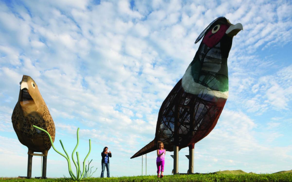 Photo of Pheasant sculptures by Gary Greff