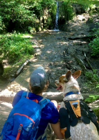 Backside of Mary Lizakowski Jr. and dog looking at ND's only registered waterfall