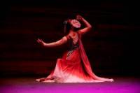 “Love in Spring” Solo Performance: Sunisha Tangpong Photo Credit: Xiaoning Qi