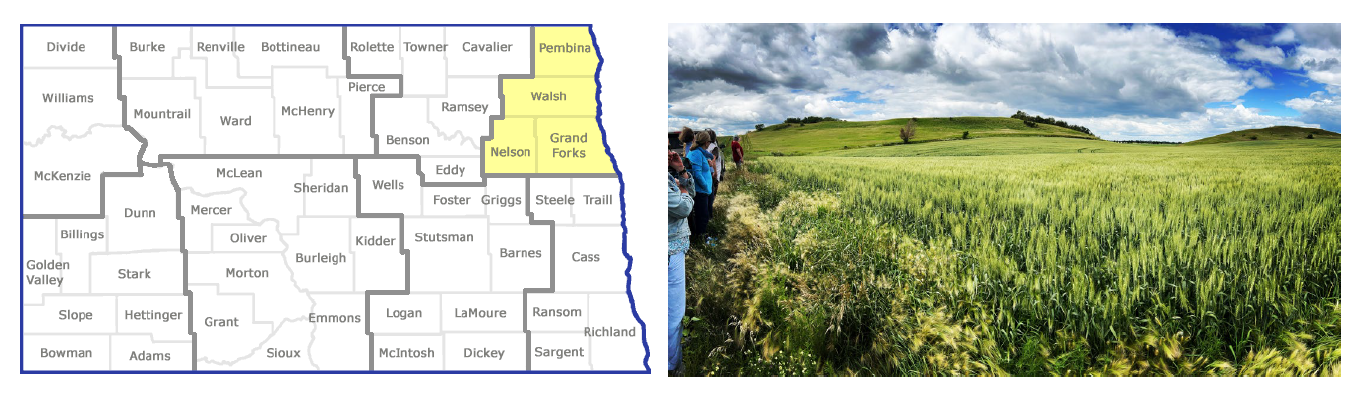 Arts Across the Prairie project site for Region 4 installation in NE North Dakota