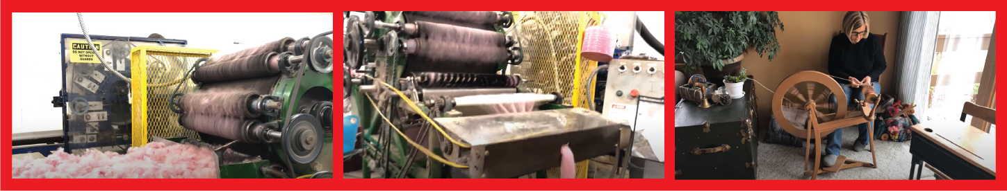 Row of 3 images starting with pink clumps of wool about to enter a fiber milling machine that combs the fibers and turns it into roving, which looks like a long narrow tube of wool. The last image is Teresa Perleberg using a spinning wheel to turn the carding into yarn.