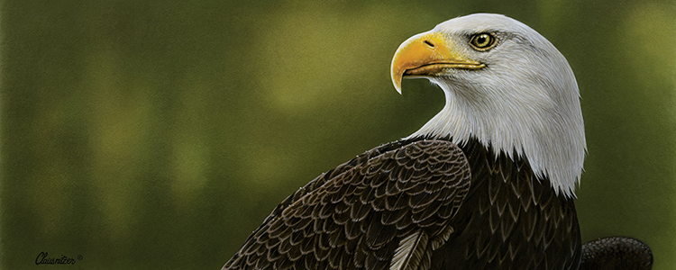 Todd Clausnitzer fine artworks, including Eagle Rising, on display in Governor's Staff Office