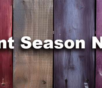 colorful wooden planks with words: FY25 Grant Season Now Open!